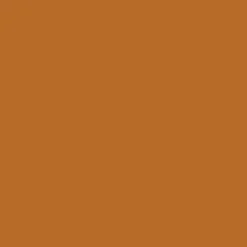 BB Cream Nude Finish Tinted Moisturizer