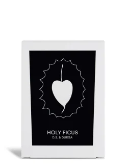 Candela Holy Ficus 200gr