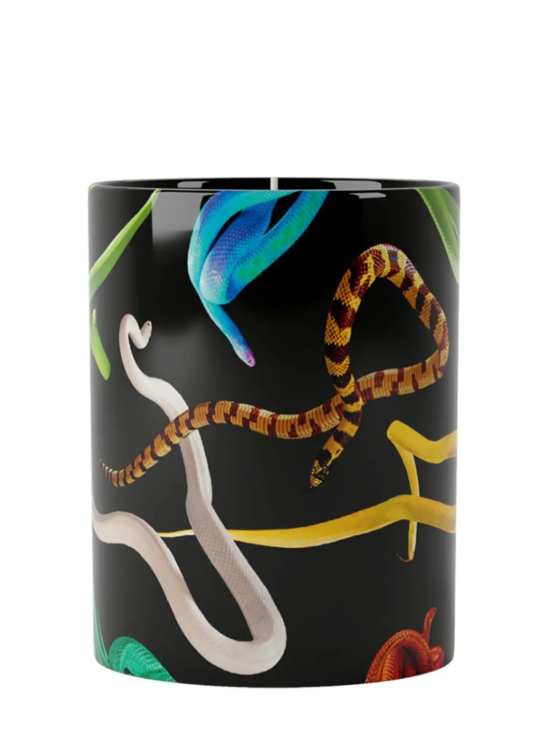 200g Snakes scented candle