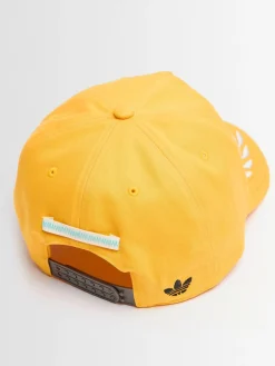 Race cap