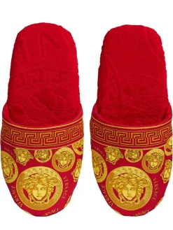 Slipper Medusa Amplified