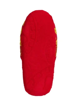 Slipper Medusa Amplified