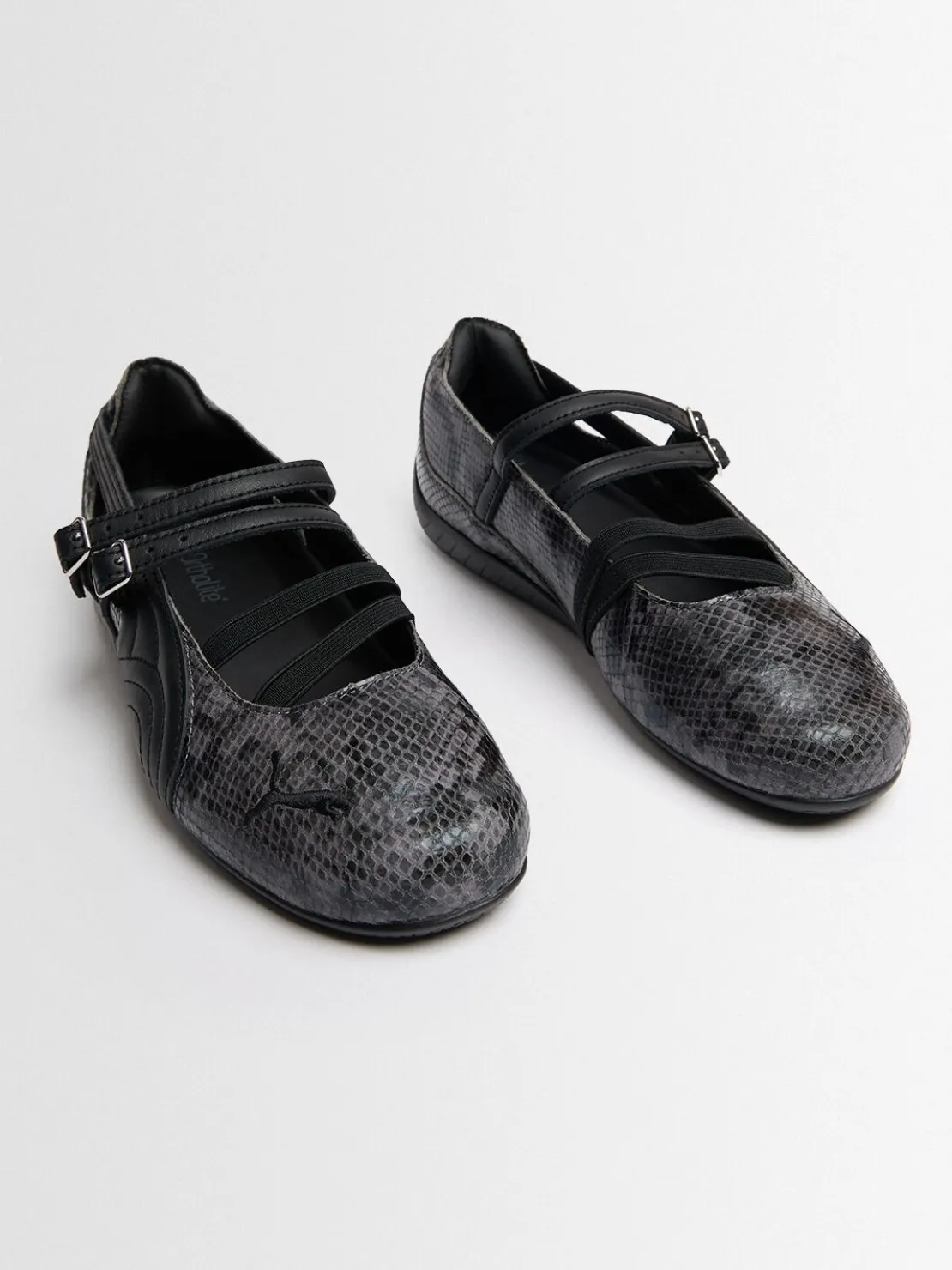 Speedcat Ballet snake embossed sneakers